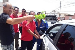 Recreativas