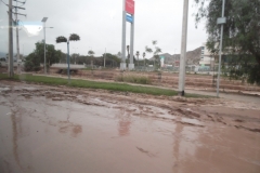 Copiapo 2015
