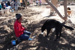 Copiapo 2015